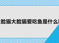 大脸猫大脸猫爱吃鱼是什么歌