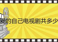 亲爱的自己电视剧共多少集