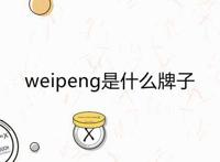 weipeng是什么牌子