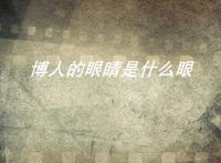 博人的眼睛是什么眼