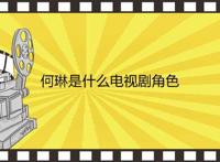 何琳是什么电视剧角色