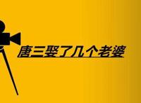 唐三娶了几个老婆