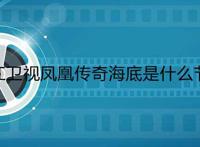 浙江卫视凤凰传奇海底是什么节目