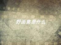 野画集是什么