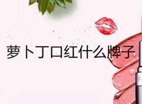 萝卜丁口红什么牌子