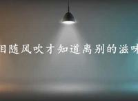 冷冷的眼泪随风吹才知道离别的滋味是什么歌