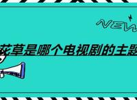 樱花草是哪个电视剧的主题曲