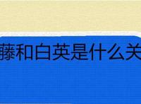 司藤和白英是什么关系
