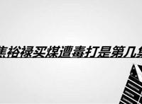 焦裕禄买煤遭毒打是第几集