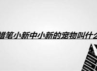 蜡笔小新中小新的宠物叫什么