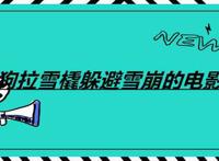 狗拉雪橇躲避雪崩的电影