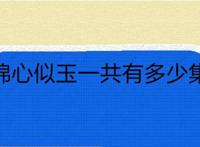 锦心似玉一共有多少集