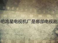 林天明鸿星电视机厂是哪部电视剧里的