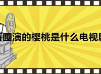 苗圃演的樱桃是什么电视剧