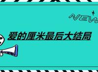 爱的厘米最后大结局