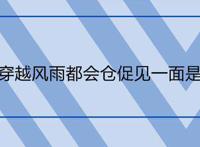 从前你穿越风雨都会仓促见一面是什么歌