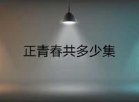 正青春共多少集