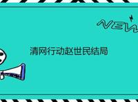 清网行动赵世民结局