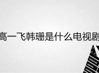 高一飞韩珊是什么电视剧