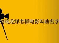 赵瑞龙煤老板电影叫啥名字