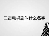二雷电视剧叫什么名字