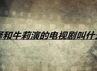 张嘉译和牛莉演的电视剧叫什么名字