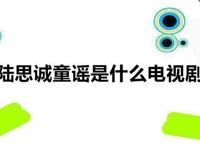 陆思诚童谣是什么电视剧