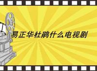 易正华杜鹃什么电视剧