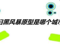 扫黑风暴原型是哪个城市