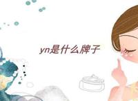 yn是什么牌子