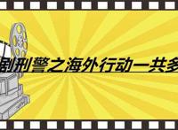 电视剧刑警之海外行动一共多少集