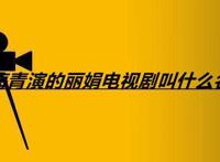 海青演的丽娟电视剧叫什么名
