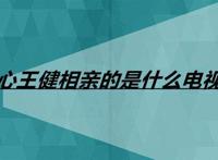 沈心王健相亲的是什么电视剧