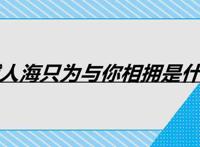 穿越人海只为与你相拥是什么歌