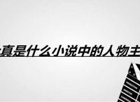 叶真是什么小说中的人物主角