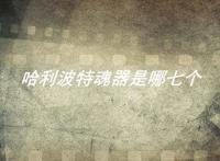 哈利波特魂器是哪七个