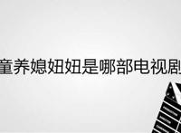 童养媳妞妞是哪部电视剧