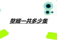 赘婿一共多少集