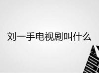 刘一手电视剧叫什么