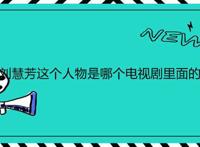 刘慧芳这个人物是哪个电视剧里面的