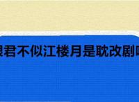恨君不似江楼月是耽改剧吗