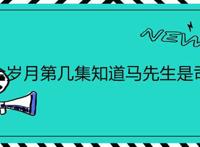 流金岁月第几集知道马先生是司机