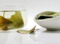 银杏叶茶是否能降血脂