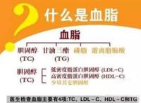 跑步能减少血脂吗？