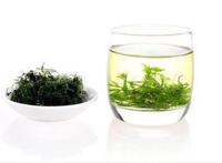绞股蓝茶养生你了解吗？