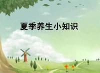 不伤身的降暑好方法