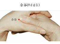 合谷穴居然是是万能穴