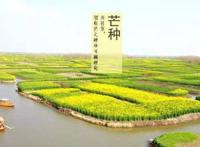 芒种养生应该吃什么呢？