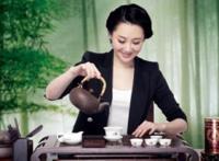 普洱减肥茶饮料瘦身