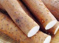 男人吃啥最补肾呢,补肾壮阳的最佳食物